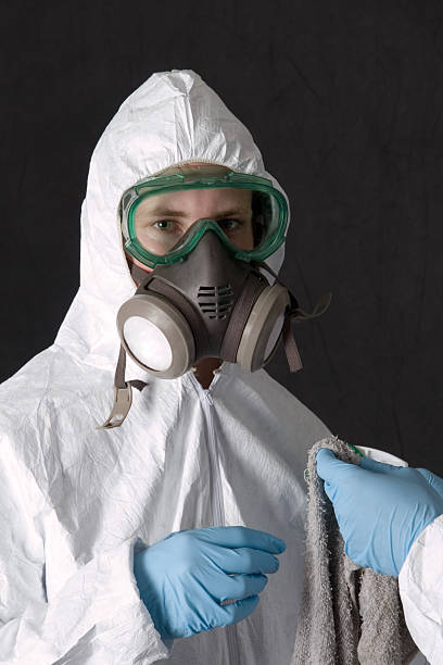 Best Basement Mold Removal  in Rainsville, AL